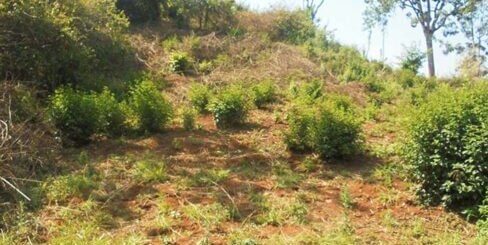 Nyeri Vacant plot Pics 3 website 2 488x326 1