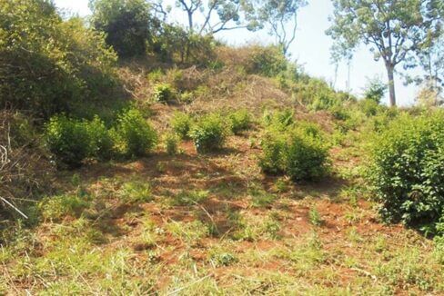 Nyeri Vacant plot Pics 3 website 2 488x326 1