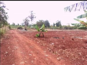 Kiamuringa Land for Sale