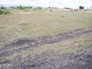 land for lease kimana