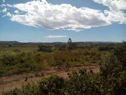 Land for Sale in Kuria