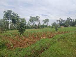 plots for sale in rongo