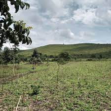 Land for Sale Homa Bay