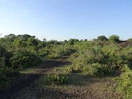 Land for Sale in Lambwe Valley