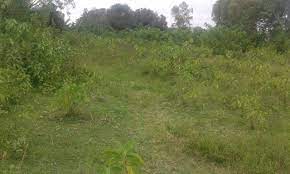 Land for Sale in Katito