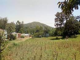 land for sale in maseno