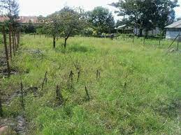 land for sale in alego