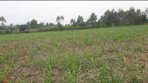land for sale in amalemba