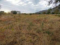 mwatate plots for sale