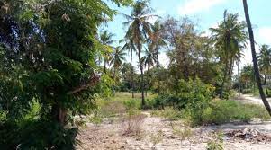 land for sale in lamu