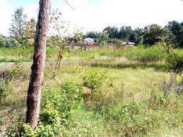 Plots for Sale in Maua