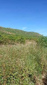 Land for Sale in Solai