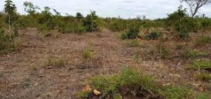 Land for Sale in Mbeere