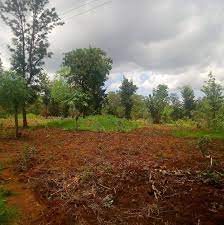 land for sale in gachuriri