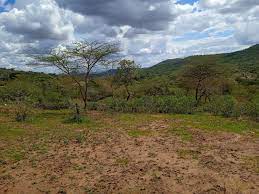 land for sale in salama