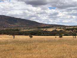 ranches for sale in kajiado