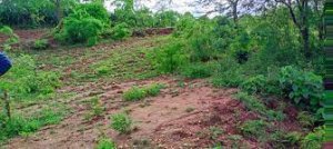 Plots for Sale Katoloni Machakos