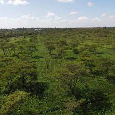 land for sale in tharaka nithi