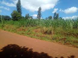 land for sale in chogoria