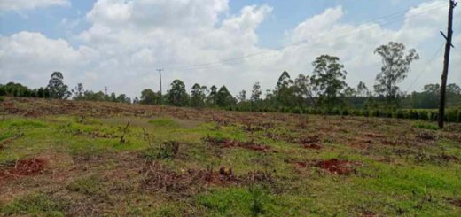 eight and quatre acre land for sale in ruiru north of tatu city c47ue