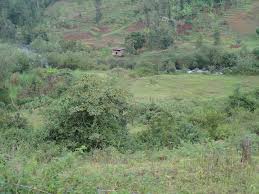 land for sale in kamahuha