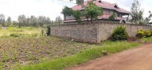 land for sale in kamwangi