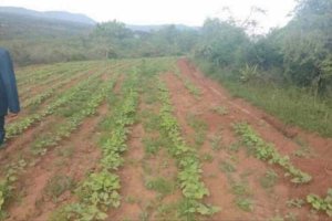 j4hrk konza north uungani village makueni county agricultural land for sale