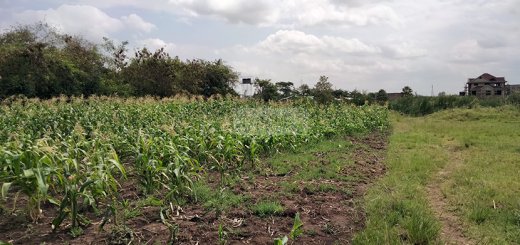land for sale in ruiru tysons limited 5