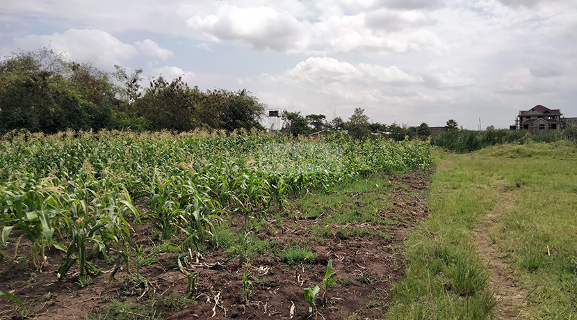 land for sale in ruiru tysons limited 5