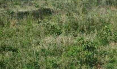 land for sale in rumuruti laikipia county o6tvp 1