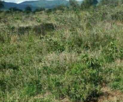 land for sale in rumuruti laikipia county o6tvp 1