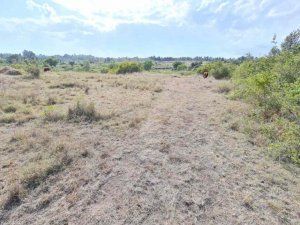 prime agricultural land for sale in naru moro 4etw0