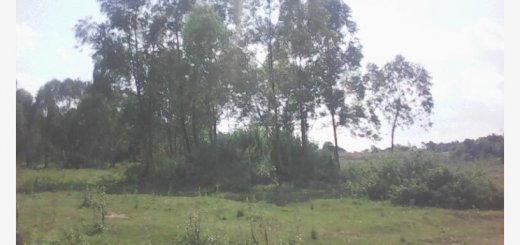 thumb 816x460 27 acres land for sale in migori county 1565530992 973 e