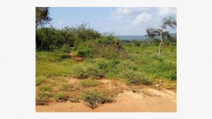 Land for Sale in Mbooni