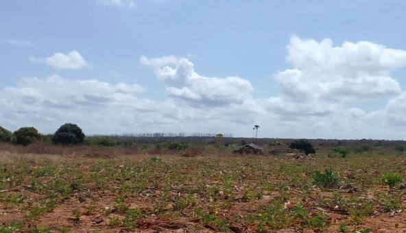 Mkaazi 5.5 acres land for sale in Kakuyuni 1 592x444 1