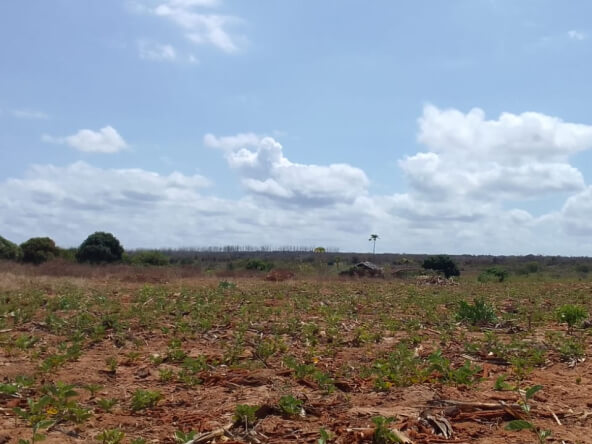 Mkaazi 5.5 acres land for sale in Kakuyuni 1 592x444 1