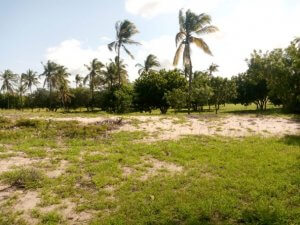 Mkaazi 50 acres at Ngomeni for sale 9 592x444 1