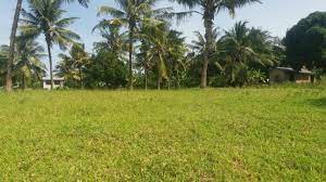 plots for sale in majaoni