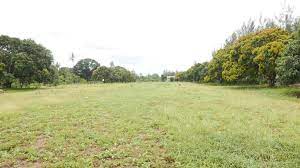 Land for Sale in Gede