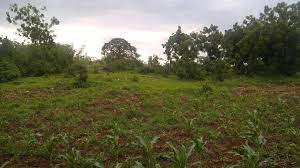 Mtomondoni Land for Sale