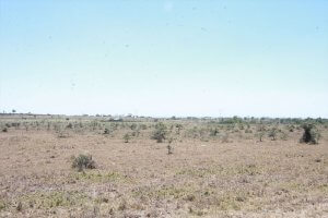 Plots for Rent in Kamulu
