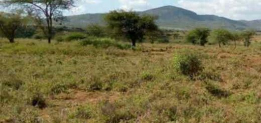 land for sale in kibini mashuru kajiado county q5d4n