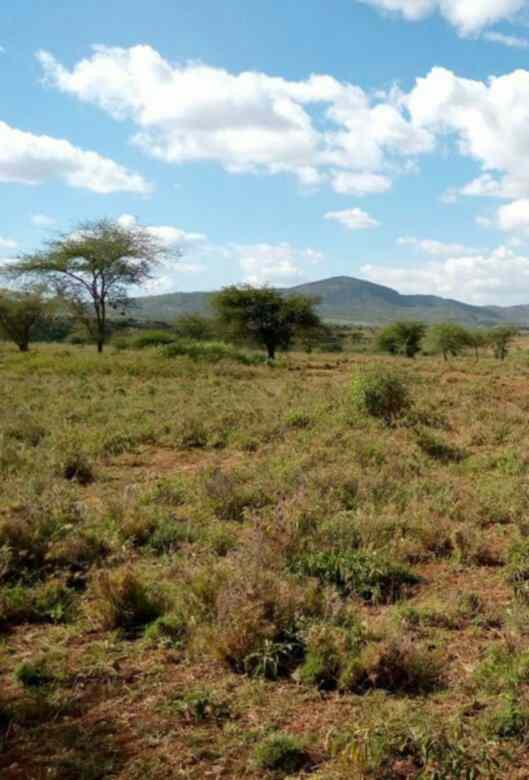 land for sale in kibini mashuru kajiado county q5d4n