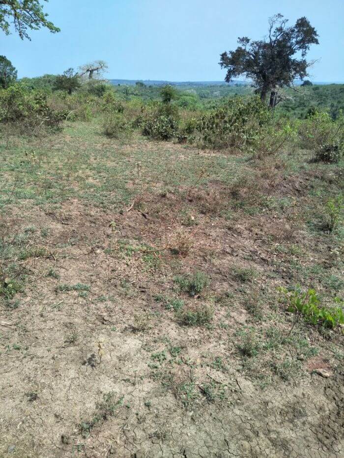 mavueni land for sale
