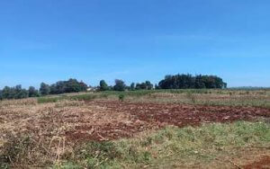 Land for Sale on Kirawa Road