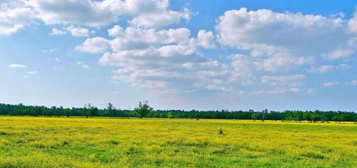 meadow 413897 1920 1024x739 1