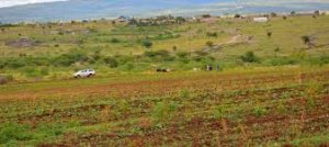 lukenya land for sale