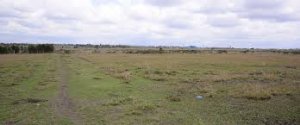 Land for Sale Near Daystar University