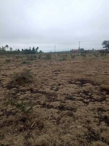 agriculture land for sale in magadi