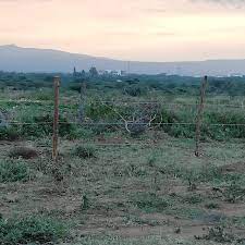 land in magadi 